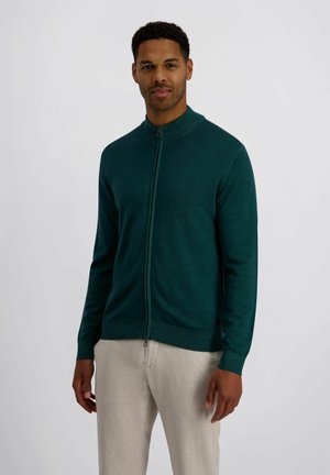 Mann trägt einen dunkelgrünen Reißverschluss-Pullover und hellbeige Hosen, steht vor einem einfarbigen hellen Hintergrund.