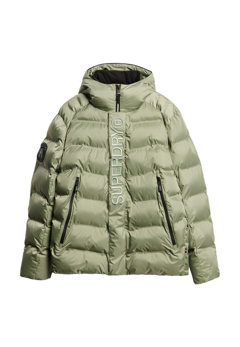 Superdry Co GRAPHIC PUFFER Winterjacke seagrass green/grün