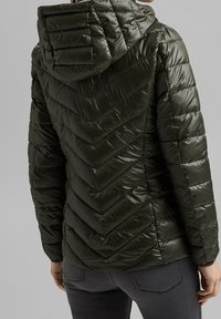 Mörkgrön puffjacka med ett chevron-quiltrat mönster, med huva och glänsande yta, visad bakifrån.