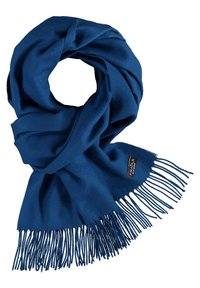 Écharpe bleue en tissu doux, avec un design torsadé et des franges aux extrémités. Comprend une petite étiquette de marque près des franges.