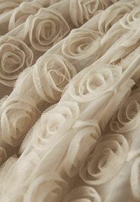 Beige Tüllstoff mit einem strukturierten Muster aus erhabenen, dreidimensionalen Rosen, das ein komplexes florales Design über die Oberfläche erzeugt.