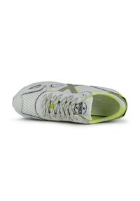MUNICH MASSANA EVO - Zapatillas de entrenamiento - gris