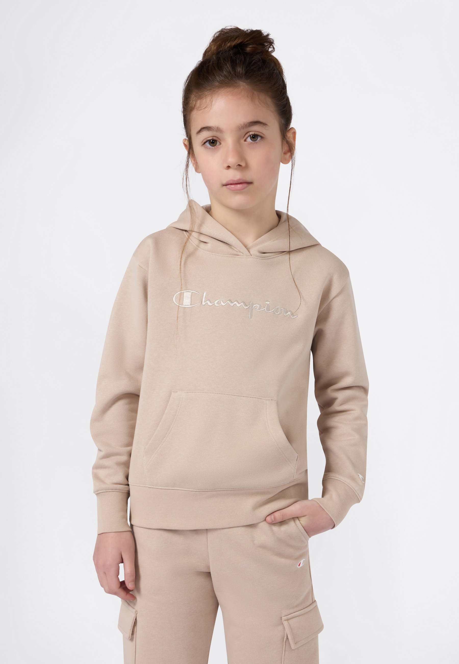 Champion ICONS HOODIE Sweatshirt beige