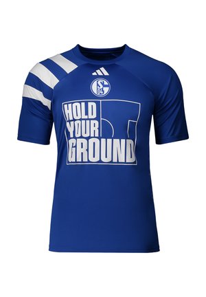 Blå sportstrøje med hvide striber på venstre skulder, Schalke 04-logo, Adidas-logo og teksten "Hold Your Ground" over en skitse af en fodboldbane.