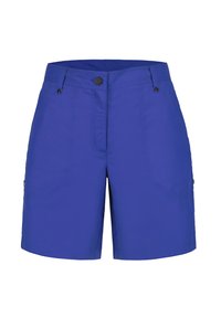 Pantalones cortos azules hechos de tejido ligero con parte delantera plana, cierre de botón y dos bolsillos laterales. Textura suave y diseño hasta la rodilla.