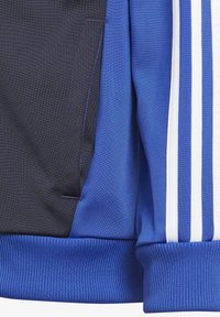 adidas Performance TIBERIO UNISEX niebieski