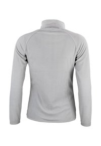 Peak Mountain AFONOR - Sweat zippé - gris