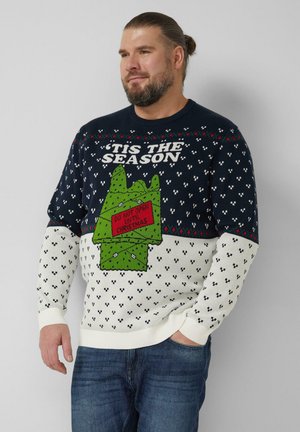 Marineblauer und weißer Strickpullover mit grünem Weihnachtsgeschenk-Motiv, dem Text "NICHT VOR WEIHNACHTEN ÖFFNEN" und festlichen Mustern an den Ärmeln.