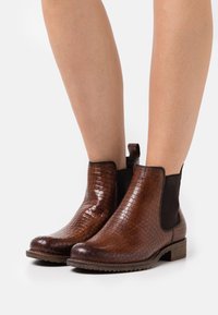 Tamaris Stiefelette - cognac