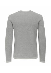 Hellgrauer gestrickter Pullover mit langen Ärmeln, Rundhalsausschnitt und strukturiertem Muster. Glatter Saum und Bündchen mit kontrastierendem Rand.