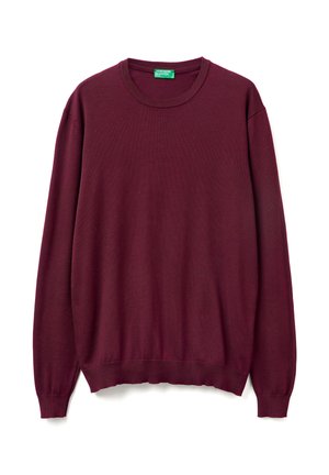 CREW NECK - Strickpullover - red