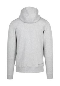 Grijze hoodie gemaakt van zacht materiaal, met een trekkoordkap, geribbelde mouwen en een logo gedrukt op de onderrug. Achteraanzicht weergegeven.