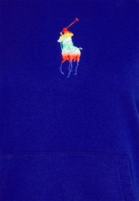 Blå huvtröja med en flerfärgad broderad hästsilhuett och polospelare. Slät textur med en känguruficka framtill.