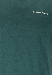Endurance ABDON - Tekninen t-paita - sea moss