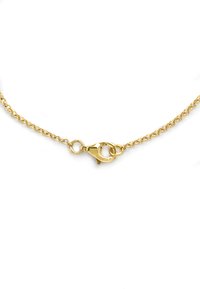 Guldhalsband med en fin länkdesign. Har en hummerklämma för säker stängning. Slät metallfinish, minimala detaljer.