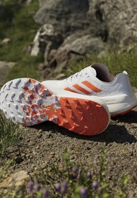 adidas Terrex AGRAVIC SPEED - Løbesko trail - dash grey/impact orange/footwear white