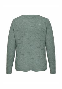 Ljusgrön stickad tröja med ett texturerat mönster, rundad halsringning och långa ärmar. Bakstycket har en jämn, öppen vävdesign.