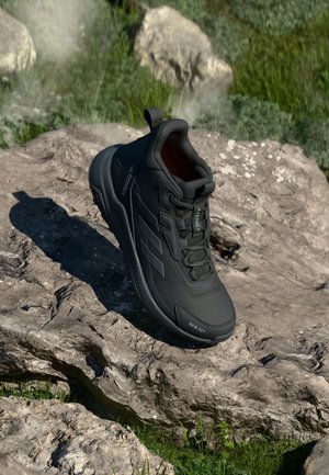 Zapatillas de senderismo - black