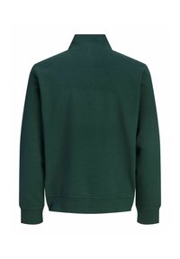 Sweat-shirt vert foncé à manches longues avec un col montant, des poignets côtelés et un ourlet droit, vu de dos sur fond blanc.