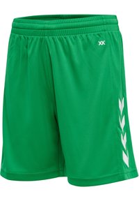 Gröna sportshorts gjorda av lättviktig tyg, med elastisk midja och vita chevrondetaljer på sidorna.