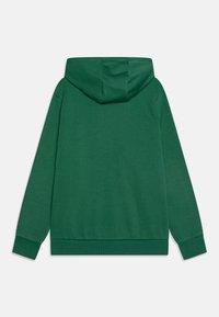 Ellesse OTTERNERE JNR - Mikina s kapucňou - green