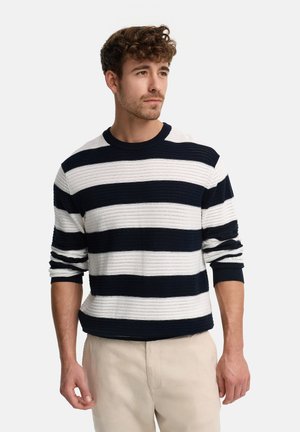 Młody mężczyzna z kręconymi włosami, ubrany w czarno-biały, długorękawowy sweter w paski i beżowe spodnie, patrzący na bok na jednolitym tle.