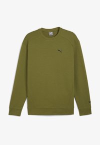 Wybrany, olive green