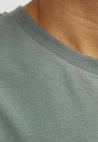 Jack & Jones JORVESTERBRO PICTURE CREW NECK - Apdrukāts T-krekls - laurel wreath