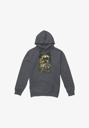 Cotton Soul, JLA AFTERMATH - Hoodie - anthracite