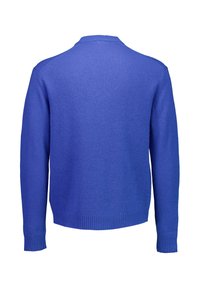 Blauer Strickpullover mit Rundhalsausschnitt, langen Ärmeln und gerippten Bündchen. Glatte Struktur mit durchgehend gleichmäßiger Farbe.