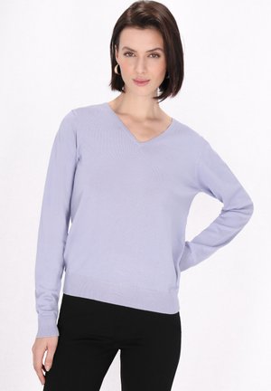 Maglione a maglia viola chiaro con scollatura a V, maniche lunghe e orlo a coste. Il tessuto ha una texture liscia e un design aderente.