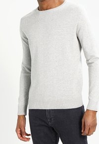 Hellgrauer Pullover mit Rundhalsausschnitt, gerippten Bündchen und Saum. Aus weichem Material, taillierte Passform, getragen über dunklen Jeans.
