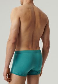 Turkusowe bawełniane majtki, dopasowany krój, miękka faktura, szeroki pas, bez widocznych wzorów, podkreślające kontury pleców i ramion.