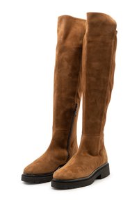 Hohe Overknee-Stiefel aus braunem Wildleder mit seitlichem Reißverschluss, klobiger schwarzer Sohle und glatter Textur.