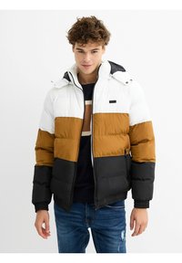 INSIDE Chaqueta de invierno - black