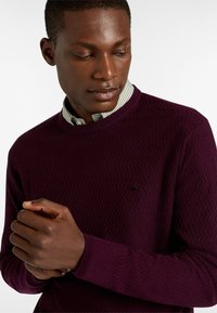 Maglione bordeaux con texture e colletto a girocollo, indossato sopra una camicia a righe verde chiaro. Presenta un piccolo logo nero sul petto.