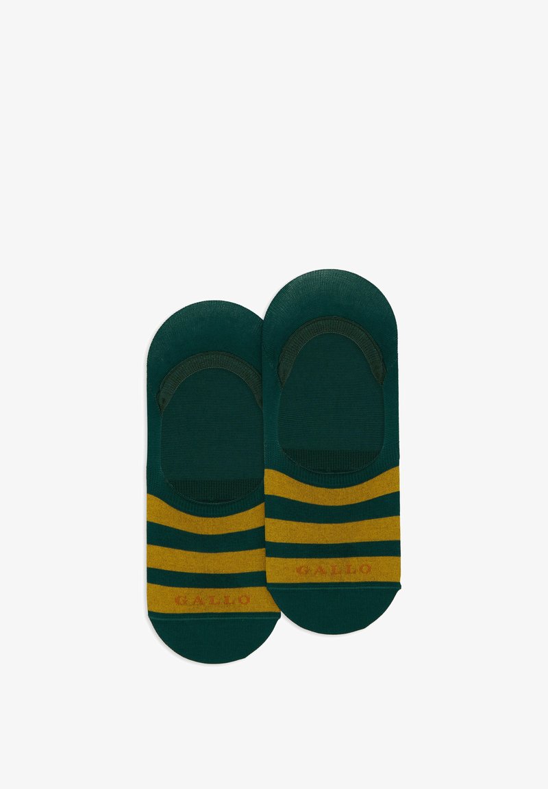 Gallo Calzini - salice