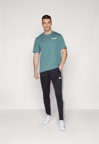 adidas Performance FC BAYERN M�NCHEN SZN TEE - T-shirt basic - hazy emerald