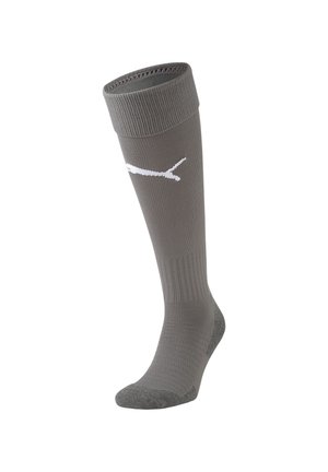 FUSSBALL LIGA CORE - Sportsocken - grauweiss