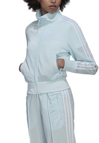 Persona vestida con un chándal Adidas de color azul claro con rayas blancas, con las manos en los bolsillos con cremallera, de pie frente a un fondo blanco.