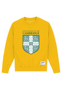 Henry Tiger PARK FIELDS UNIVERSITY OF CAMBRIDGE SHIELD - Felpa - gold