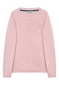 Maglione rosa chiaro con scollo rotondo. Realizzato in morbido tessuto a maglia, presenta maniche lunghe e un dettaglio logo ricamato sul petto.