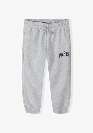 JOGGERS - Träningsbyxor - grey