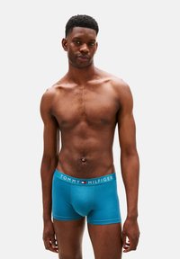 Calzoncillos bóxer de algodón azul con una cinturilla blanca y roja con el logo "TOMMY HILFIGER". Textura suave, ajuste ceñido, diseño moderno.