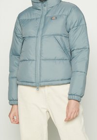 Blue puffer jacket with a high collar, front zipper, and elasticized cuffs. Horizontal quilted pattern. Worn over cream corduroy pants.