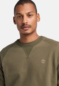 Sudadera verde oliva con cuello acanalado, que presenta costuras tonales y un pequeño logotipo bordado en el pecho. Tejido suave y texturizado.