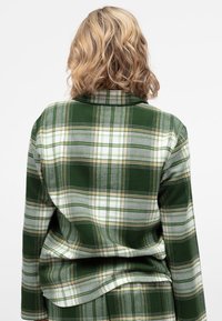 Groene en witte geruite blouse, met lange mouwen en een kraag; zachte stof met een geblokt patroon in verschillende tinten groen en beige.