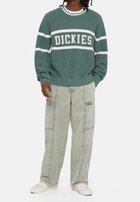 Zelený žebrovaný pletený svetr s bílými pruhy, na kterém je logo "DICKIES"; v kombinaci se světle šedými cargo kalhotami. Bílé tenisky outfit doplňují.