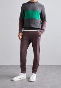 Sudadera gris de cuello redondo con una franja horizontal verde y mangas moradas, combinada con pantalones de chándal morados oscuros y zapatillas blancas.