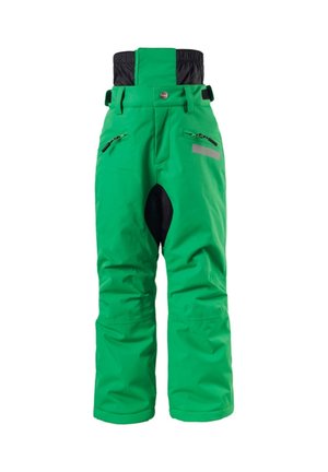 BIG BAD WOLF - Pantaloni da neve - bright green